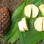 Fresh ripe pineapple, a dog-safe fruit in small amounts