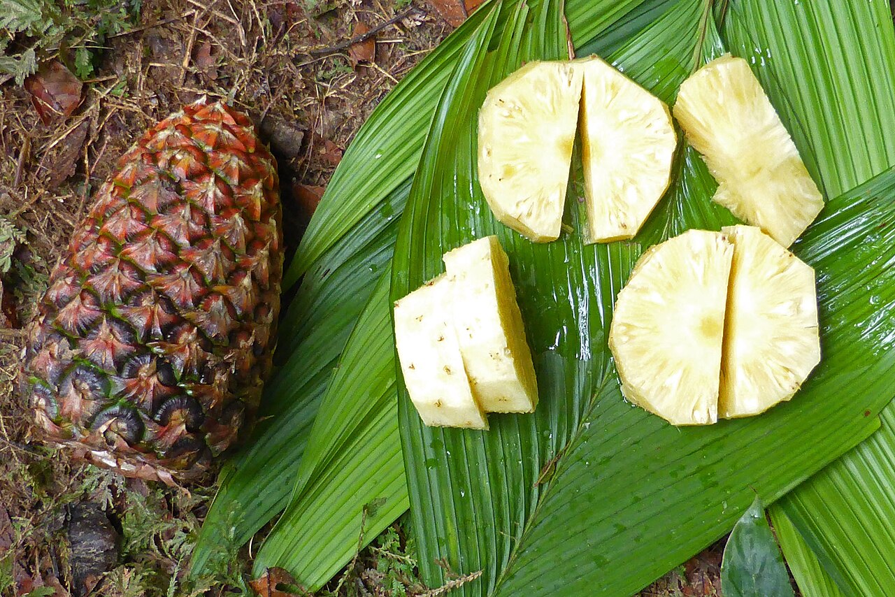 Fresh ripe pineapple, a dog-safe fruit in small amounts