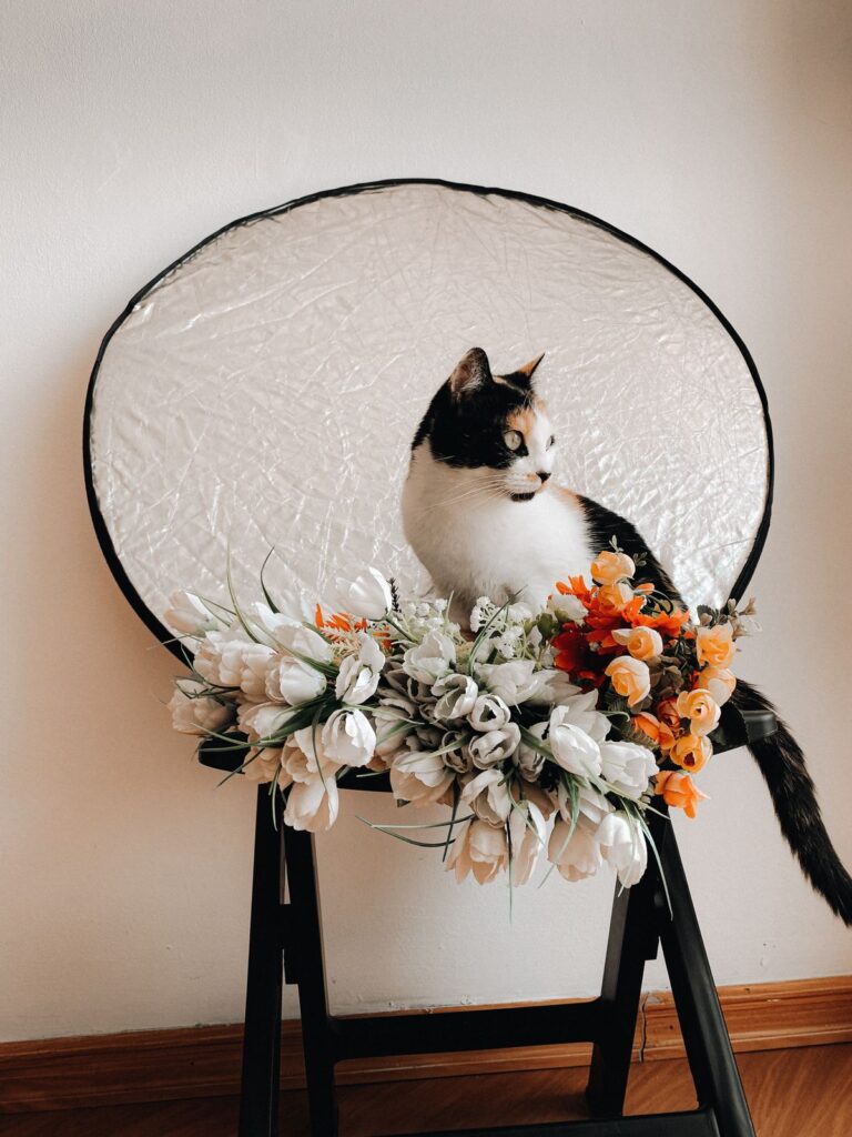 Curious indoor cat sitting beside a vase of fresh cut flowers