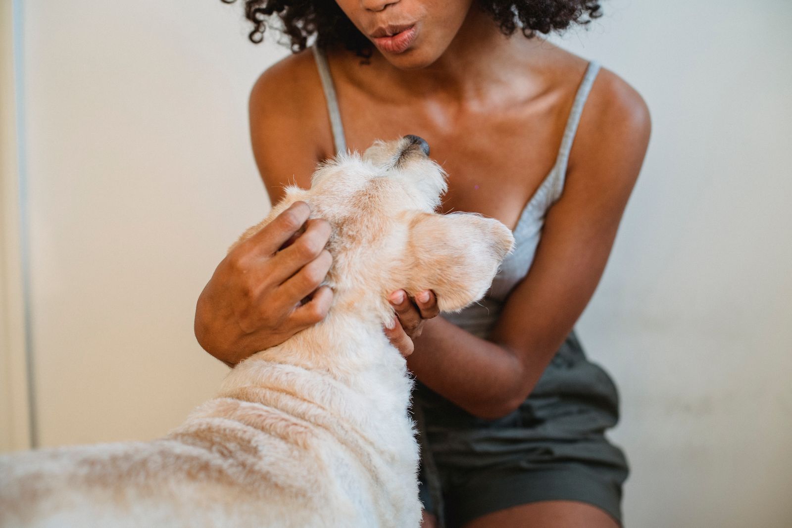 Owner parting a dog’s coat to check the skin for ticks and fleas during winter