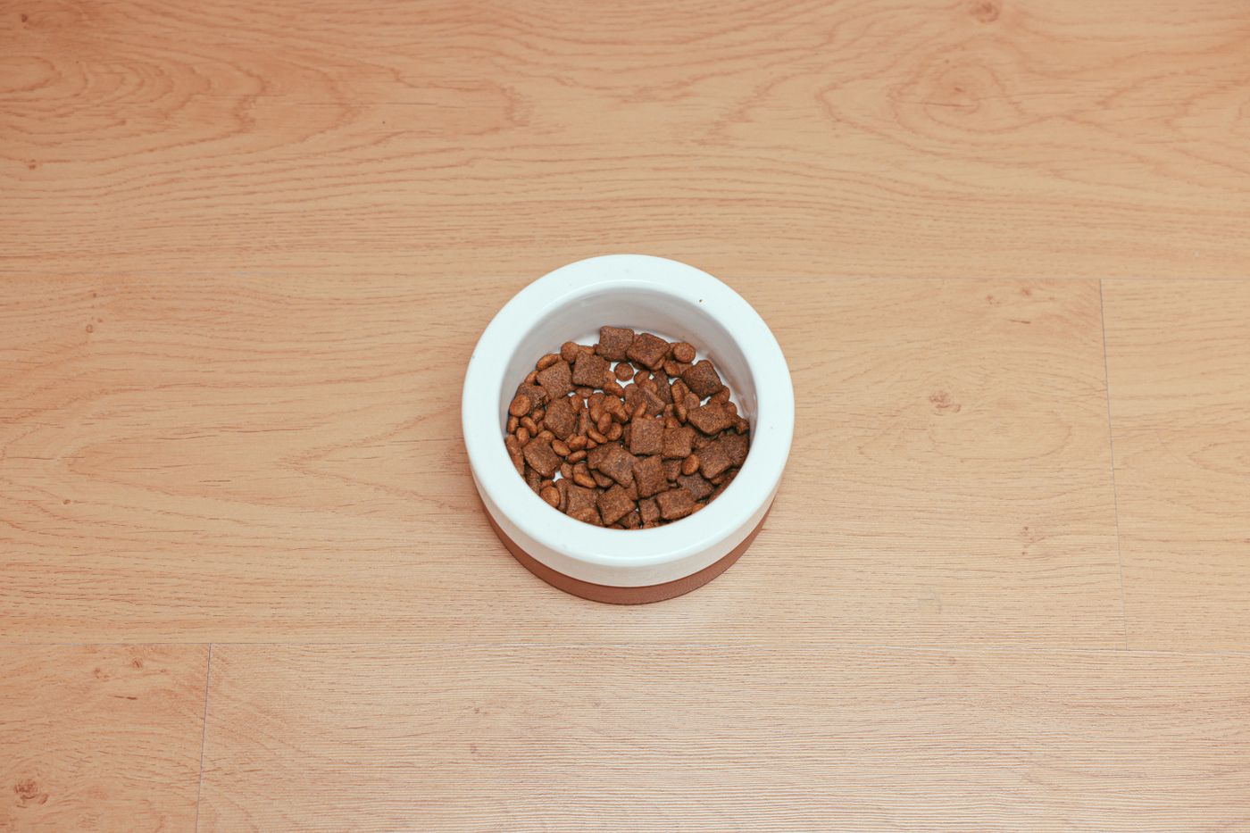 Bowl of dry dog food kibble on a wooden surface beside a scoop