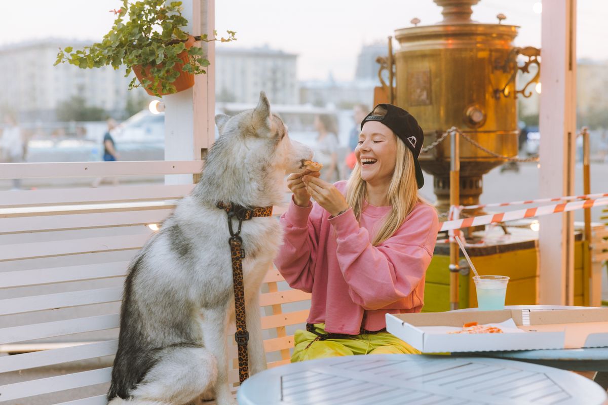 A dog watching a person eat pizza at the table, tempted by fatty leftovers