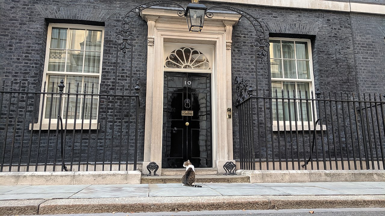 Larry the Cat sitting outside the black door of 10 Downing Street