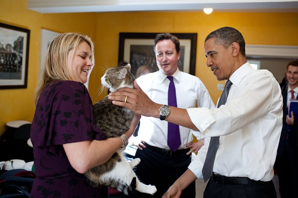 Larry the Cat, Chief Mouser to the Cabinet Office, at 10 Downing Street