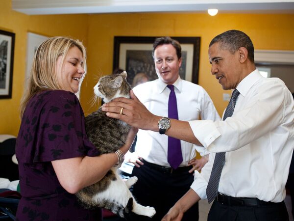 Larry the Cat, Chief Mouser to the Cabinet Office, at 10 Downing Street
