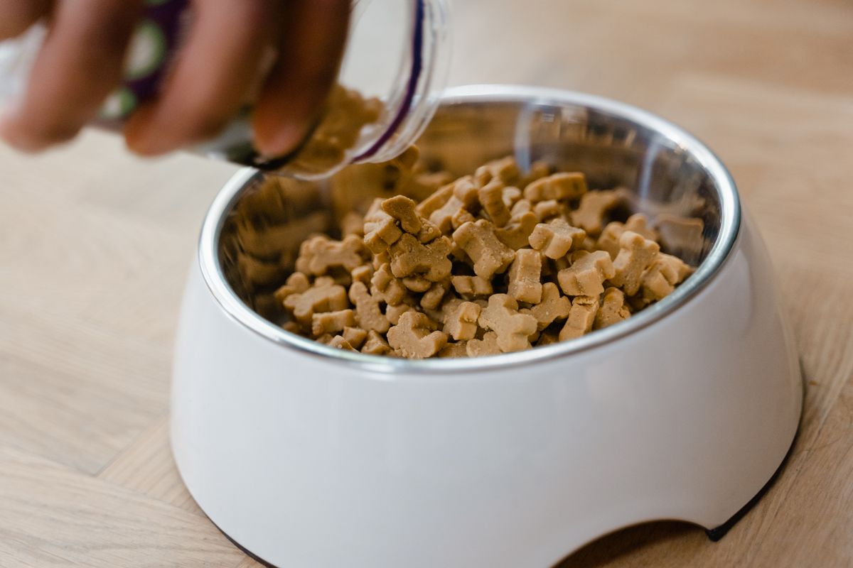 Person measuring out a portion of dry dog food into a stainless steel bowl