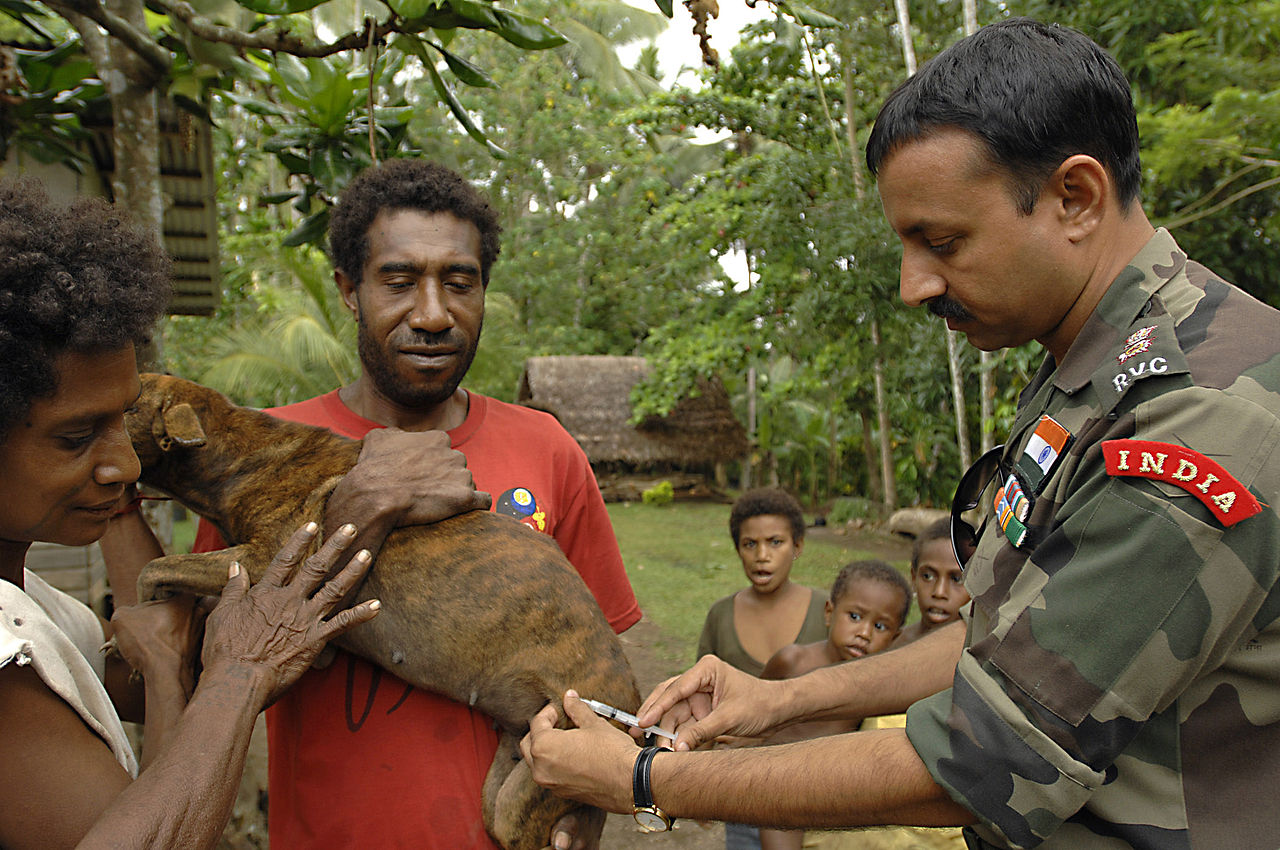 Veterinarian giving a dog a vaccination injection to help prevent parvovirus