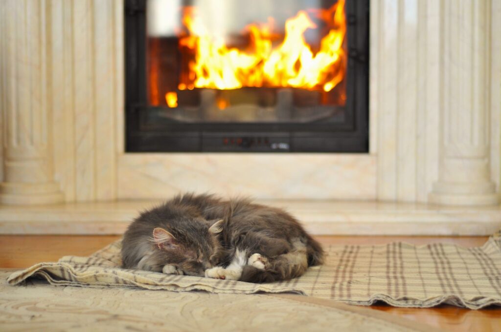 Cat warming itself by a glowing fireplace during an Australian winter
