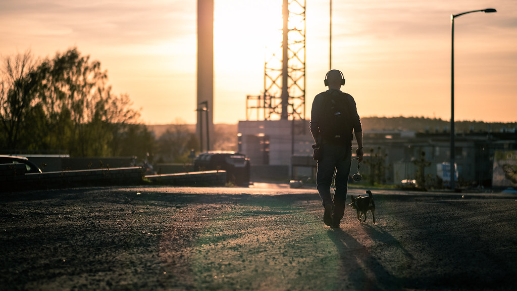 A person walking their dog on a lead along a suburban street in the evening light
