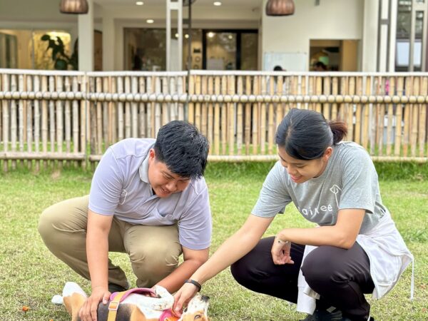 Two people patting a friendly beagle at an outdoor dog event