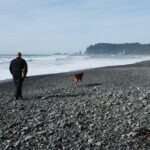 Dog walked on a lead beside water, a key leptospirosis prevention step for Australian owners