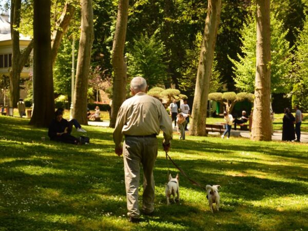 Owner walking a dog on a lead through a wet Australian park in winter