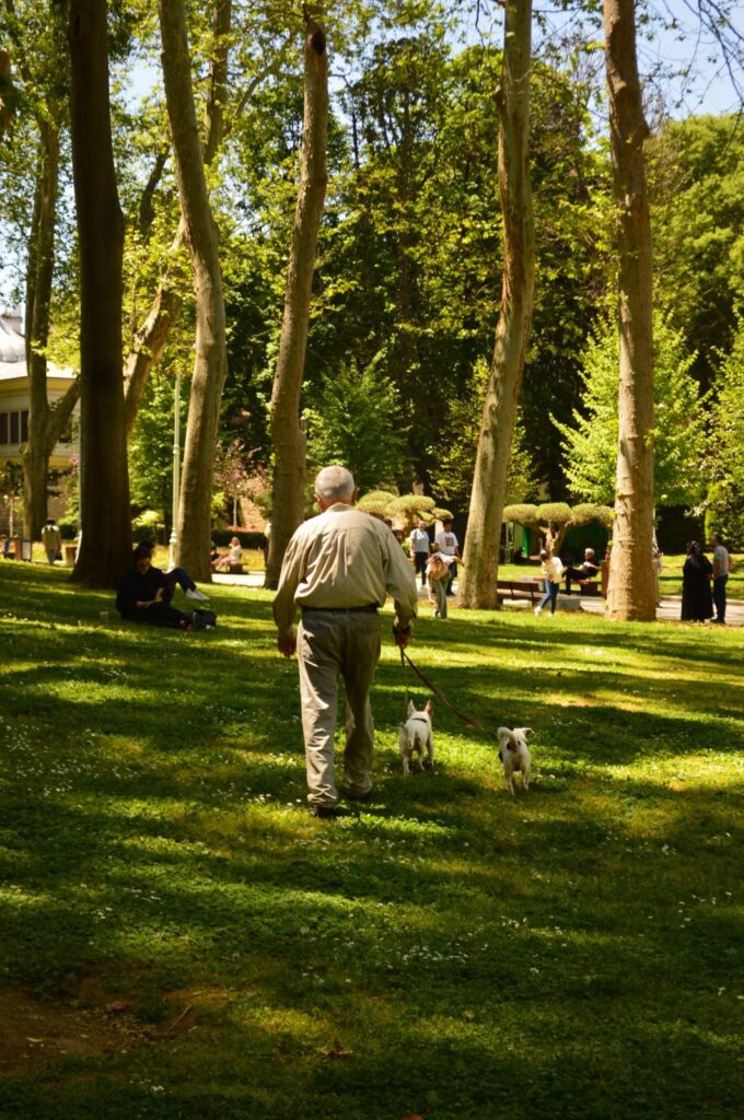 Owner walking a dog on a lead through a wet Australian park in winter