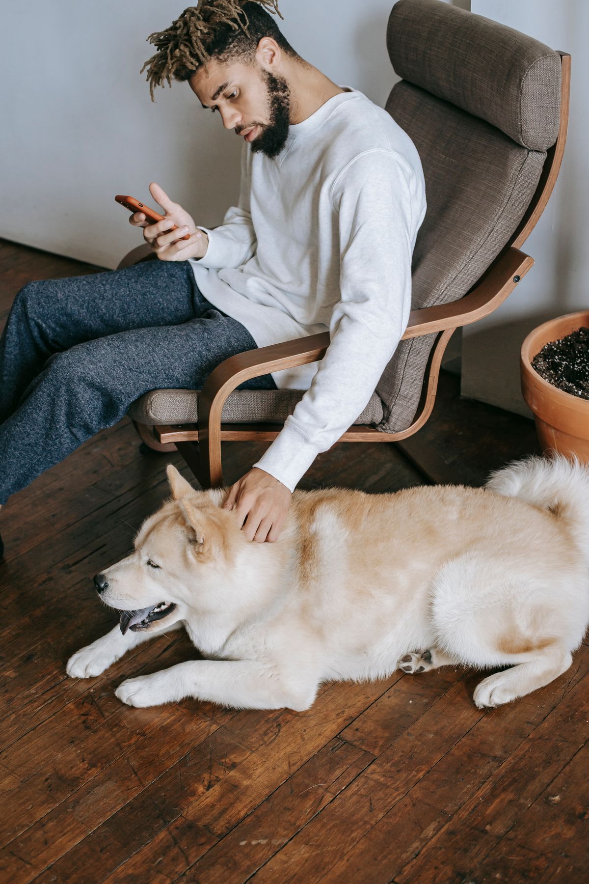 Pet owner reading pet food advice on a smartphone while sitting with a dog