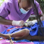 Vet performing surgery on a guard dog