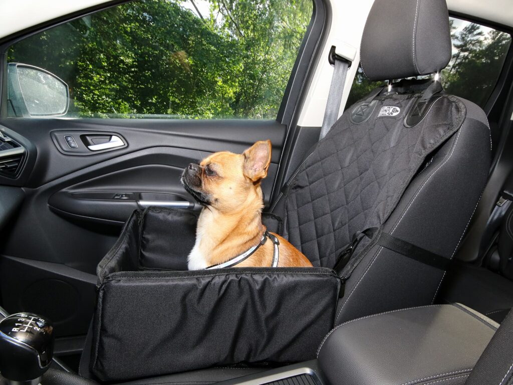 Cute small dog in a car wearing a safe harness and seat belt. Ready to travel. Traveling with pets concept (50011313628)