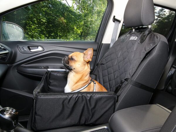 Cute small dog in a car wearing a safe harness and seat belt. Ready to travel. Traveling with pets concept (50011313628)