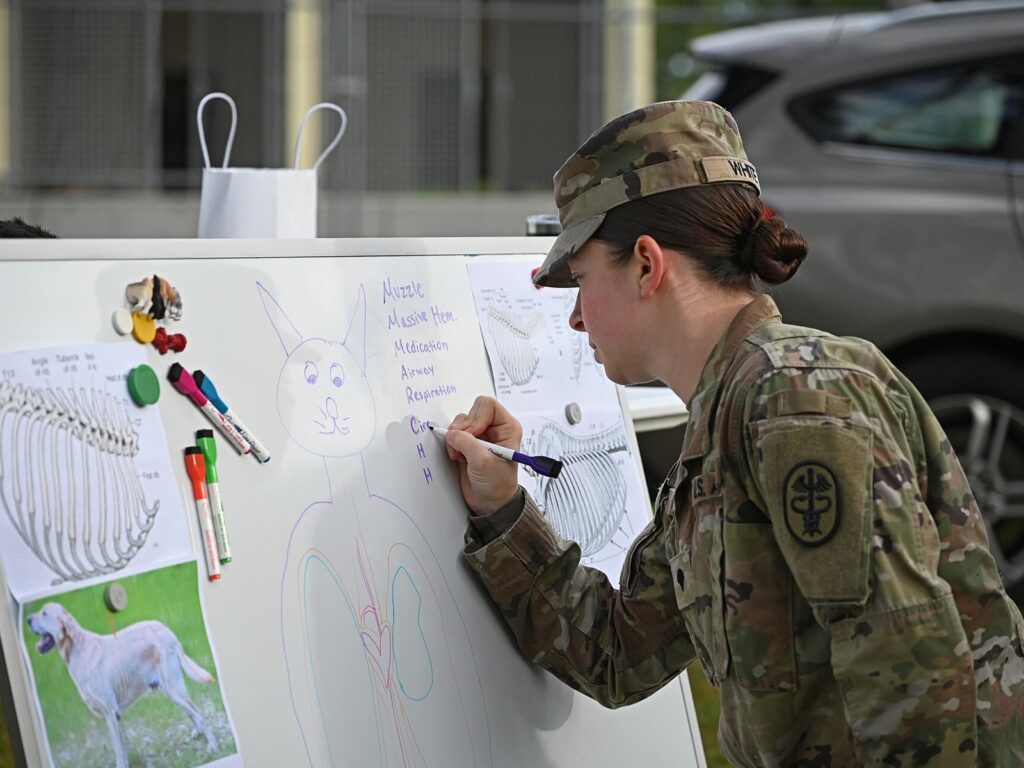 Veterinary Readiness Activity Trains Military Dog Handlers (9347158)
