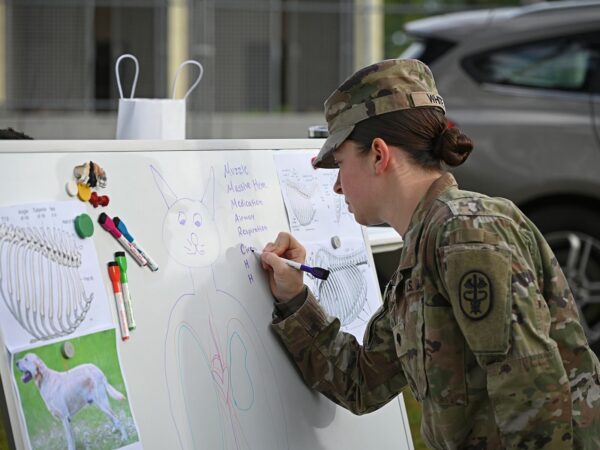 Veterinary Readiness Activity Trains Military Dog Handlers (9347158)