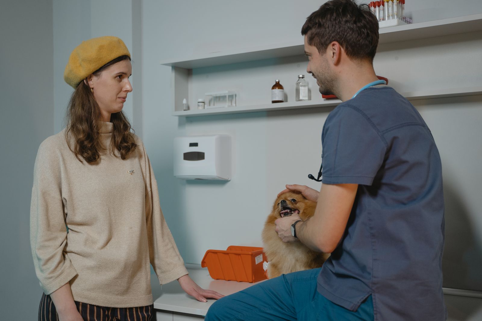 Veterinarian checking a Pomeranian on the exam table while talking with its owner