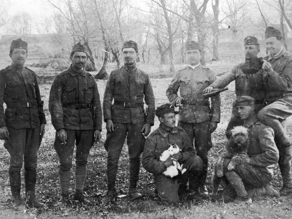 Military, tableau, men, uniform, smoking, dog, cat, fun, soldier Fortepan 22785