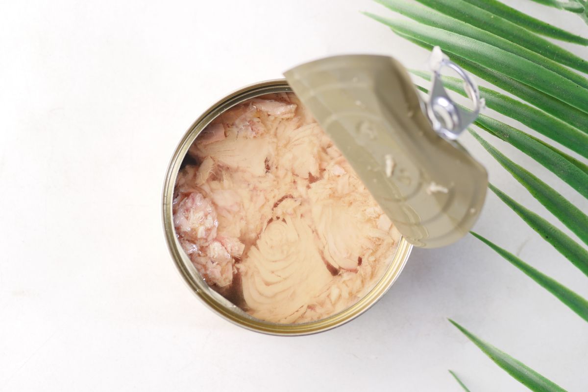 Open tin of flaked tuna on a white surface next to a green palm leaf