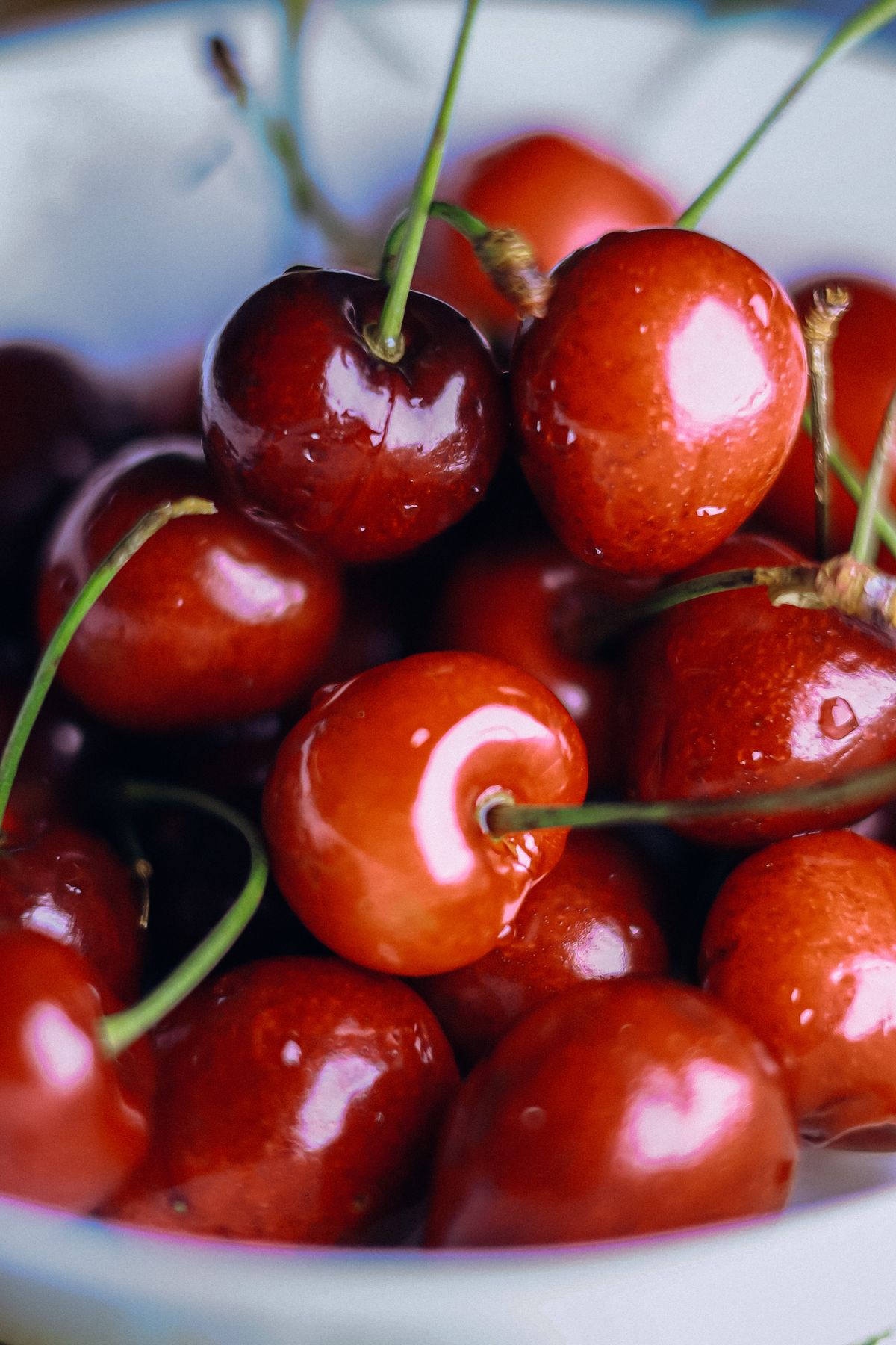 White bowl full of fresh red cherries with stems still attached