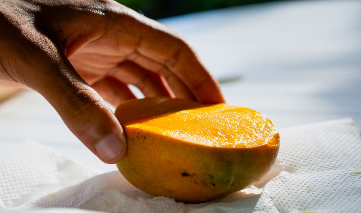 Hand holding a freshly cut half of ripe mango showing the orange flesh
