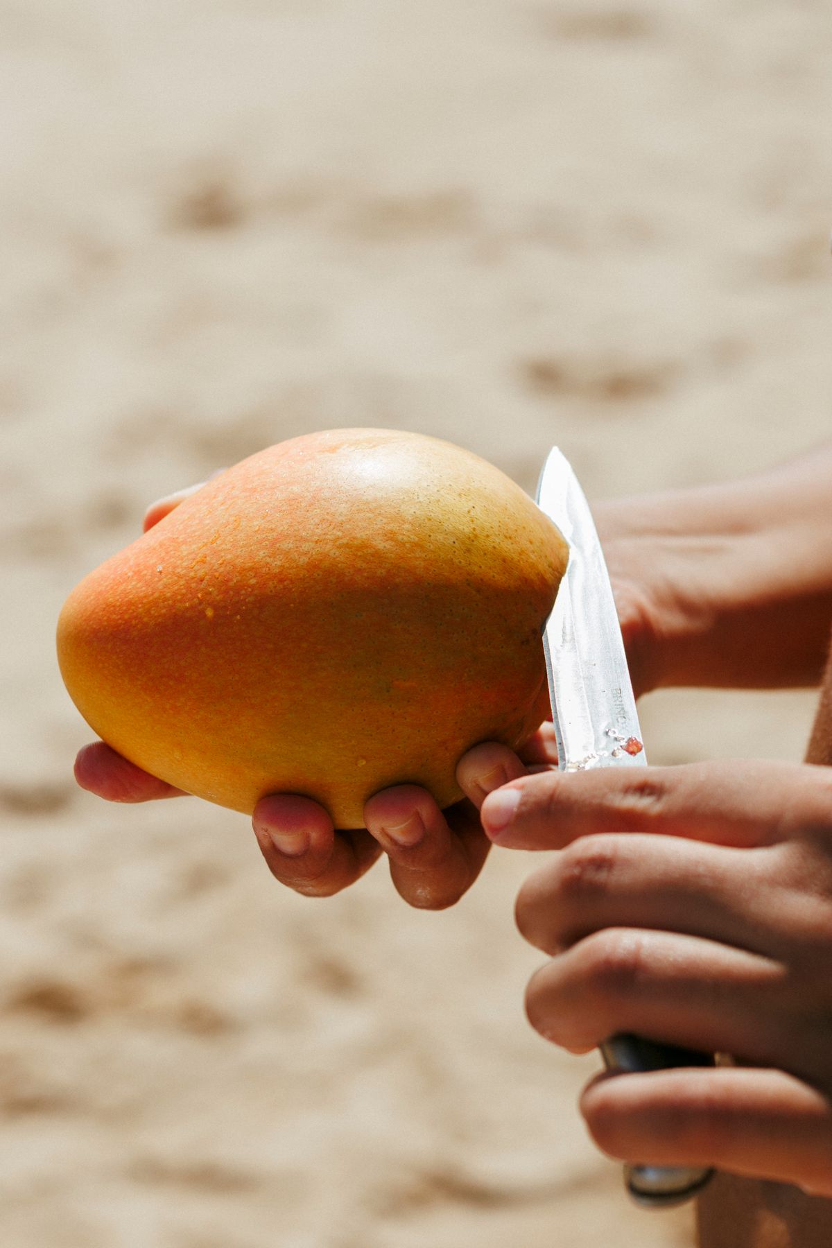 Hands holding a ripe mango and a small knife ready to peel and slice it