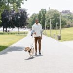 Man walking a yellow Labrador on a lead along a sunny park path