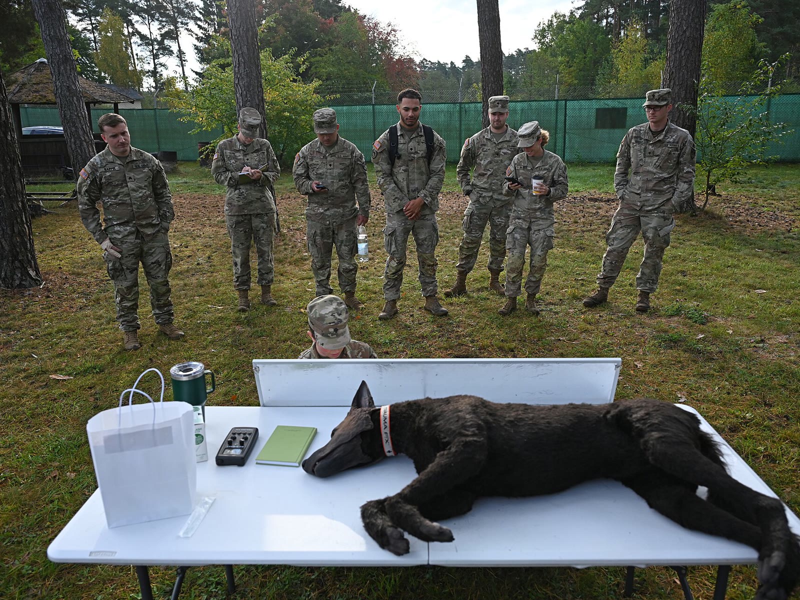Veterinary Readiness Activity Trains Military Dog Handlers (9347159)