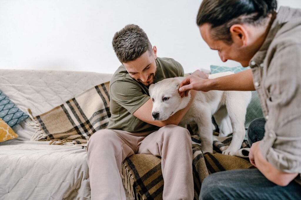 Two men on a couch gently petting a white young dog settling into its new home