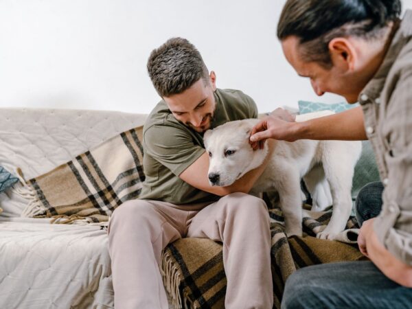 Two men on a couch gently petting a white young dog settling into its new home
