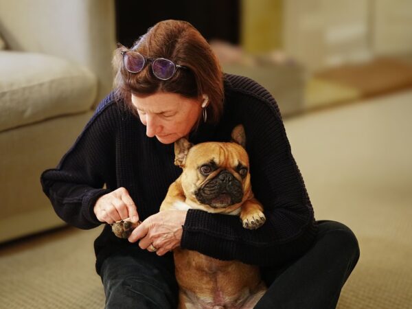 Woman sitting on the floor at home holding a French bulldog and checking its paw and nails