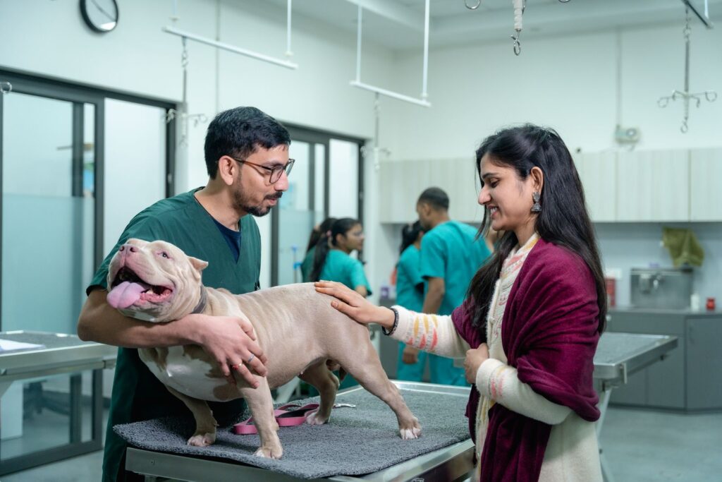 Vet examining a dog on a clinic exam table while the smiling owner pats it