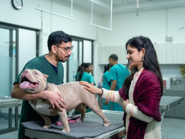 Vet examining a dog on a clinic exam table while the smiling owner pats it